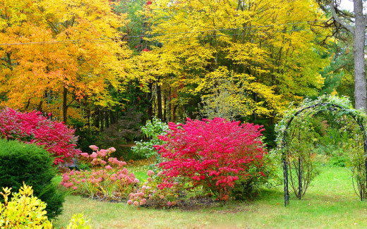 987607 (a): :2880x1800